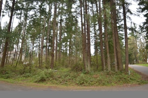 Yelm Home, WA Real Estate Listing